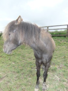 Latest pictures1 006