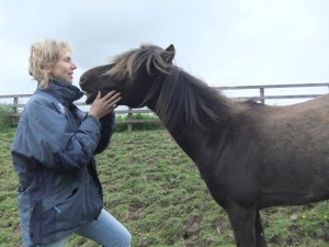 Latest pictures1 011