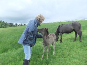 Latest pictures1 021