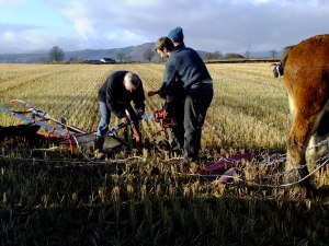 Latest pictures3 007