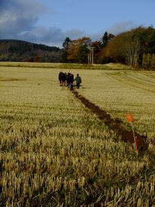 Latest pictures3 010