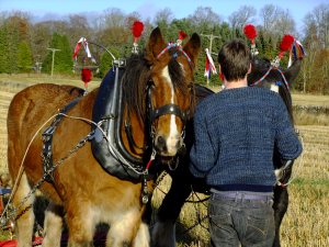 Latest pictures3 014