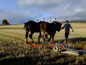 Latest pictures3 017