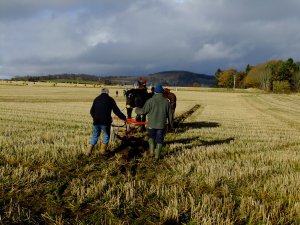 Latest pictures3 018