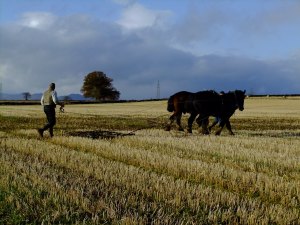 Latest pictures3 023