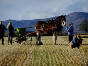 Latest pictures3 026