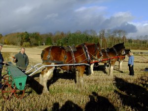 Latest pictures3 034