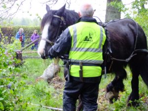 Only the second time out in the woods for Katie but she's soon in the swing of it.