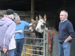 Not just about horses: The Donkey Sanctuary at St Boswells in the Borders opened its doors to the public for the Borders Festival of the Horse. 