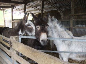 They talk about me behind my back, you know. 